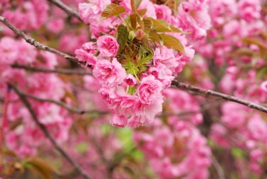 南通如皋7线下个人借款平台一站式服务，轻松解决资金难题