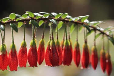 南通如皋7零用贷短借：轻松解决临时资金需求