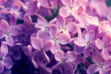 南通如皋7企业急用钱贷款攻略：快速融资解燃眉之急